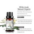 Hot Selling White Musk Long Lasting Fragrances Oil Materials Of Making Perfume