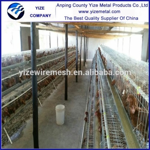 Mauritus best selling battery cage for egg layers chicken layers