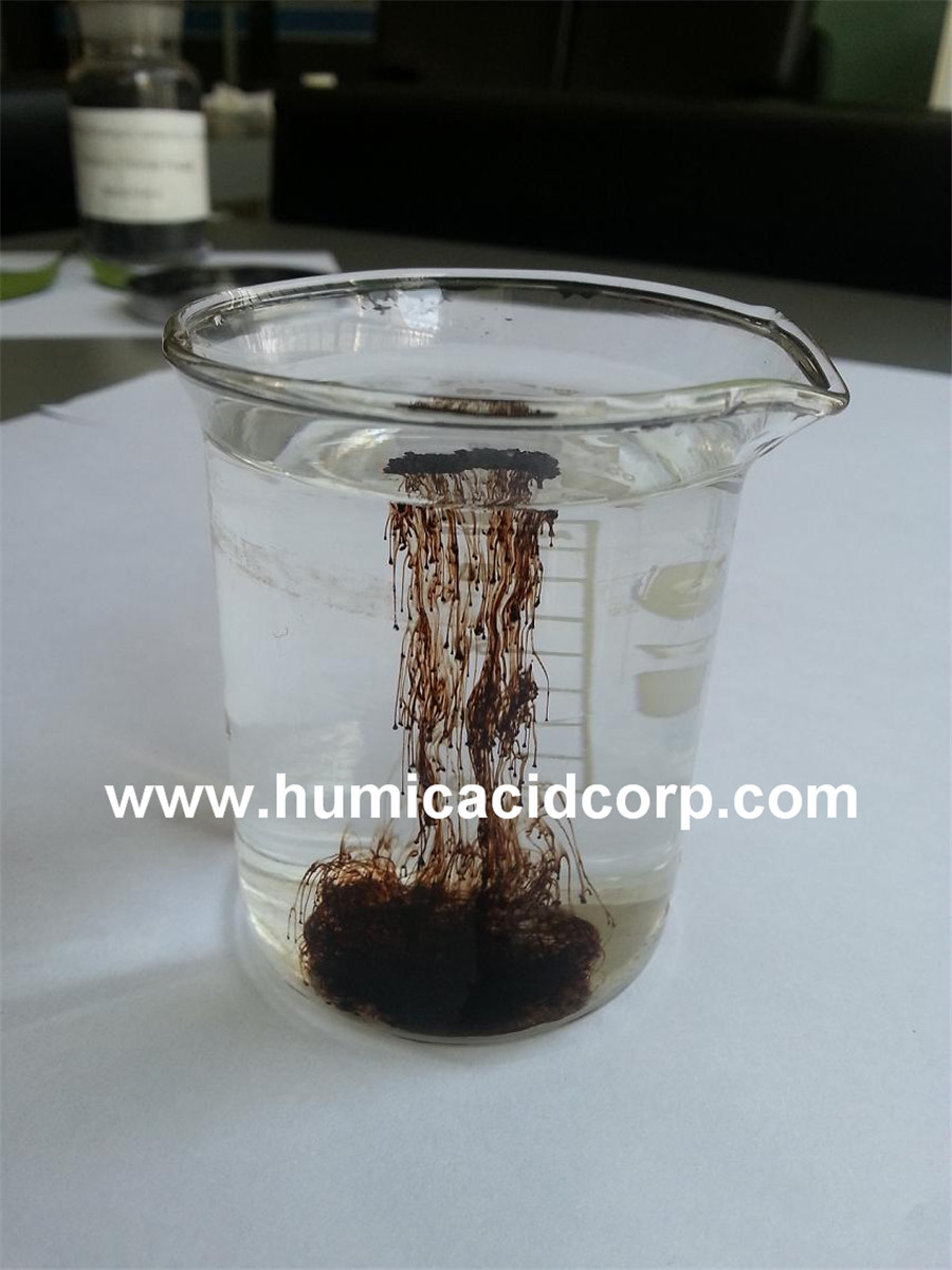 Potassium Humate Water Solutions