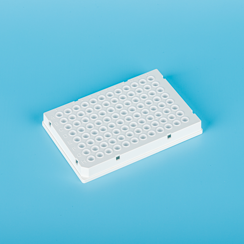 96-Well-PCR-Platten, umgefahren, weißer Rahmen, klare Brunnen