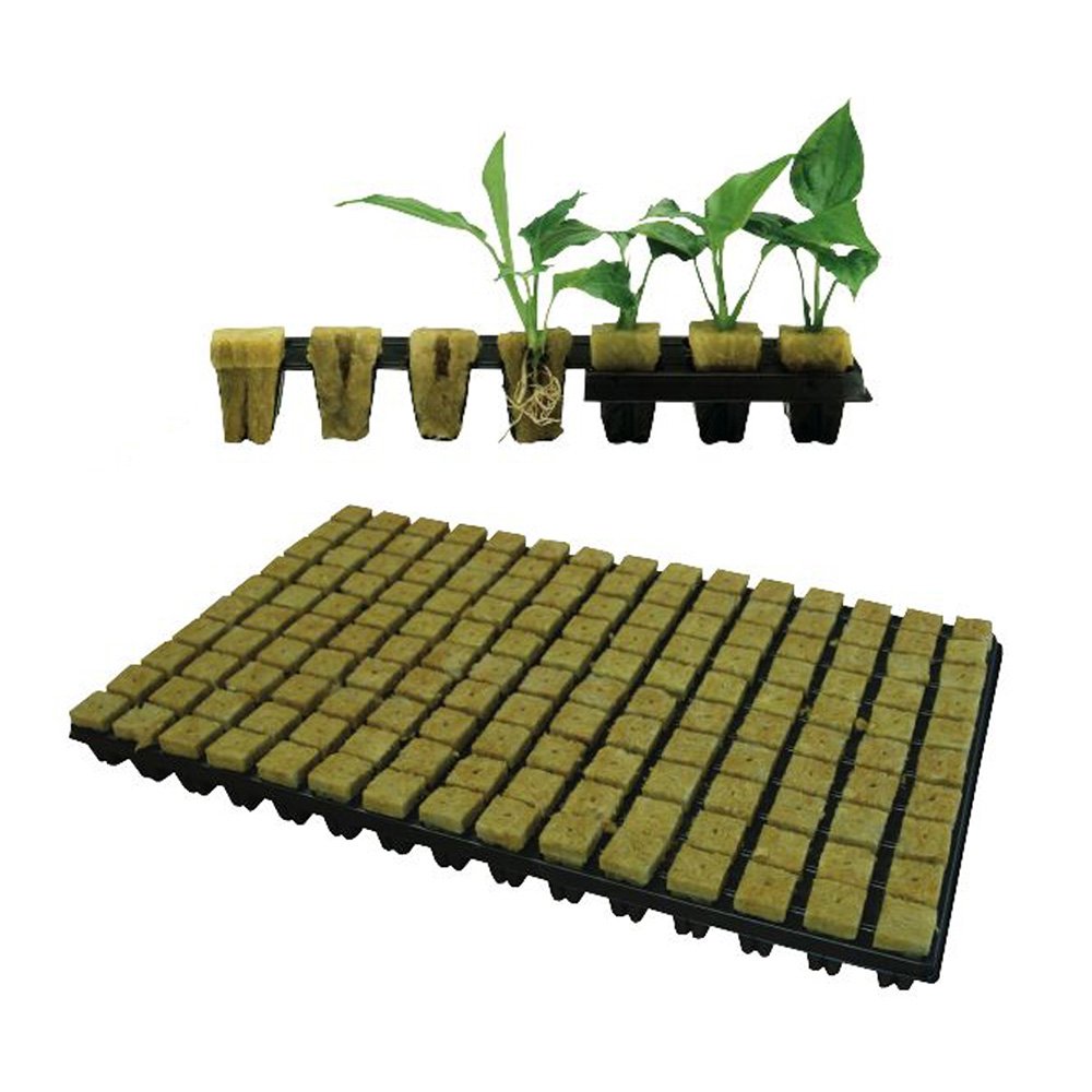 rockwool-cube-tray- rockwool-cube-tray-