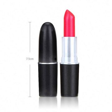 lang anhaltender Lippenstift feuchtigkeitsspendend Matte Lippenstift OEM