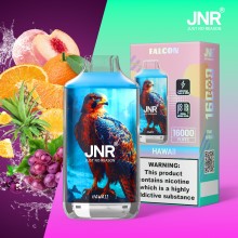 JNR Falcon 16000 Puffs wholesale vape