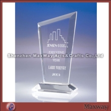 Transparent corporate modern acrylic trophy/award/present with logo