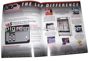 catalogues/leaflets/booklets/instructions manuals/brochures/advertisment printing