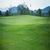 15mm artificial golf grass/artifical golf turf/artificial golf lawn