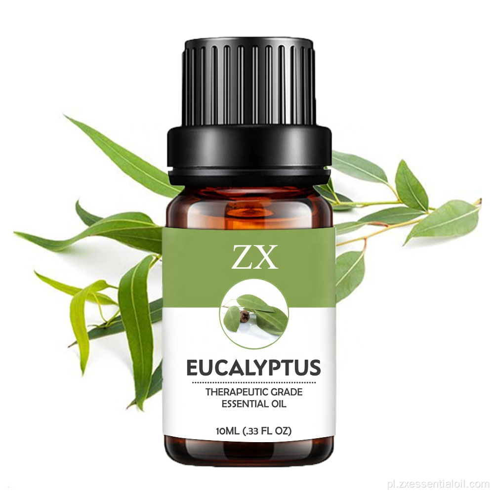 Dostawa fabrycznie 100% czystego olejku eterycznego Eucalyptus globulus
