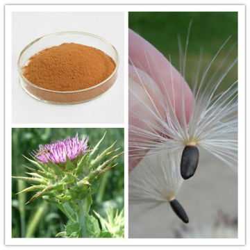 Natural Water Soluble Silymarin Milk Thistle Extract Silybin