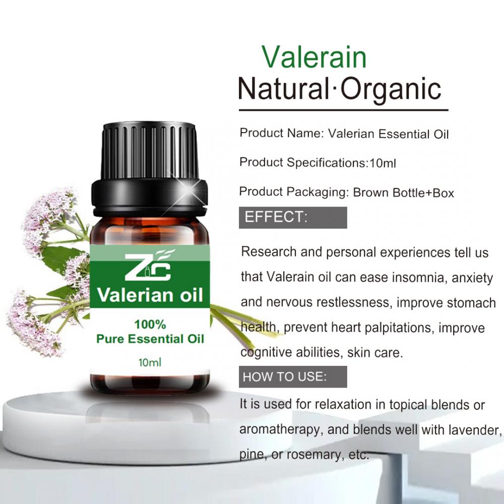 Top Quality Valerian Oils Therapeutic Grade for Massage