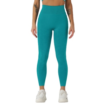 Women's Basic Seamless Leggings: Yoga Leggings with Butt Lift and Tummy Control for Workout and Gym