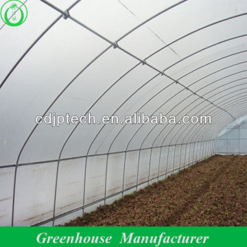 Vegetable Seeds Greenhouse