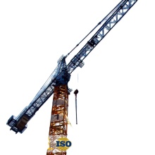 Ce Certified Self-Erect Building Tower Crane QTZ315(7035) for Sale