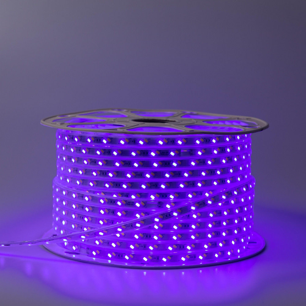 220V High Voltage 72leds 120leds IP65 Double Row Led Strip 5730 Led Strip Flexible