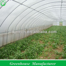 economical horticulture greenhouse