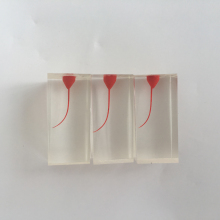 Root Canal Training Block Models