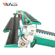 Fruit Washing, Waxing, Drying, Sorting Machine for Lemons and Citrus Fruits