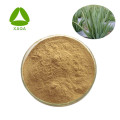 Aloe Vera Leaf Extract Powder 10:1 Anti-Inflammatory