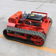 Affordable Large Remote Control Lawn Mowers: Agria and Beyond