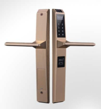 Smart Face Biometric Lock with camera