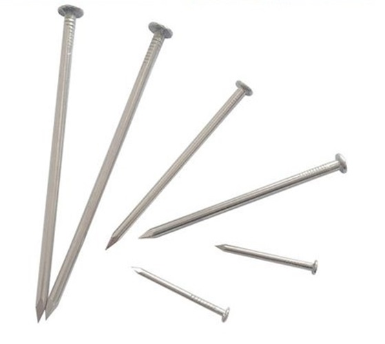 Smooth Shank Stainless Steel Nails4