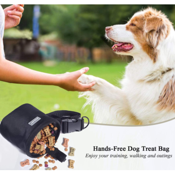 Hands-free dog training pouch