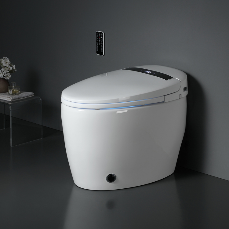 New Automatic Functions Intelligent Electric Toilet