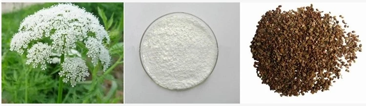 Natural Herbal Extract Cnidium Monnieri Extract Powder Osthole 50%