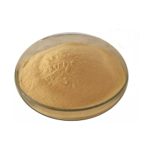 Wholesale Prices for Food Grade Yeast Extract, Nutritional Yeast Powder, and Yeast Beta Glucan Additives