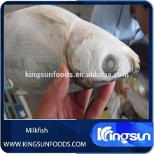 Milkfish - Whole Round Boneless Butterfly Type