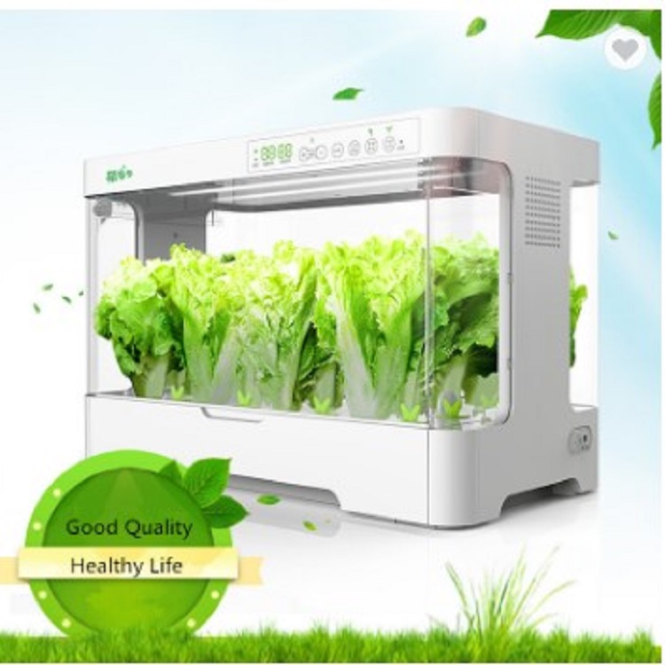 indoor Smart garden hydroponic