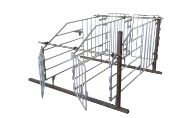 Customizable Galvanized Solid Rod Gestation Stalls For Pigs