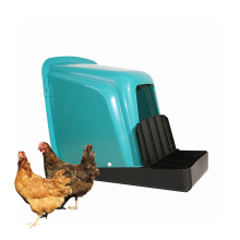 Best Nesting Box Solutions for Laying Chickens in Poultry Farming