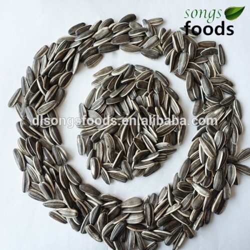 Sunflower seeds business partner in africa