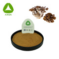 Maitake Mushroom Extract Powder 10: 1