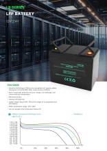 LFP Lithium Battery with 6000+ Cycles, Wide Temperature Range (-20°C~60°C) & Built-in BMS Protection Full Safety Protection