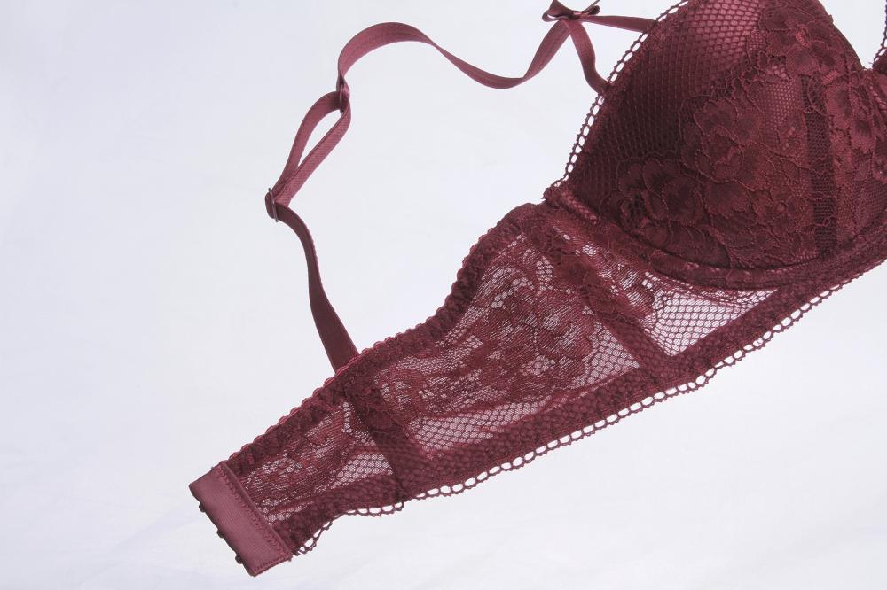 Breathable Lace Wings Bra