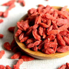 A tonic herb superfruit goji berries wolfberries