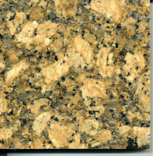Brazil Giallo fiorito granite
