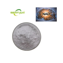 nad+ supplement nicotinamide adenine dinucleotide nad