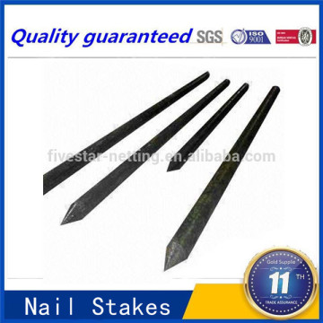 Manufacturing Plain Steel Concrete Flat Nail Stakes