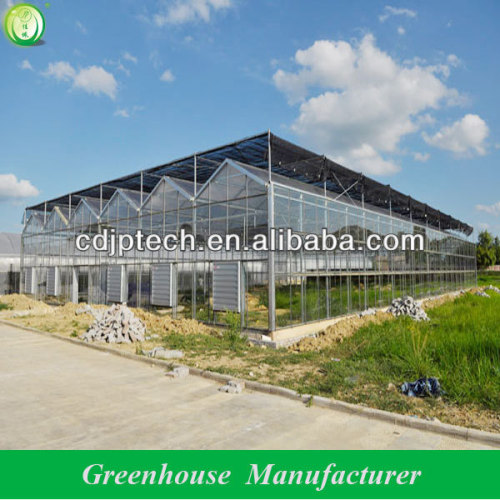 Glass Greenhouse for Rose
