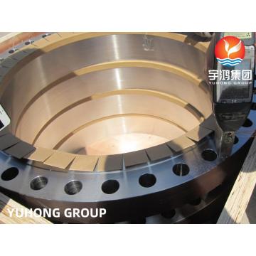 ASTM A182 F51 Duplex Steel Welding Neck Flange