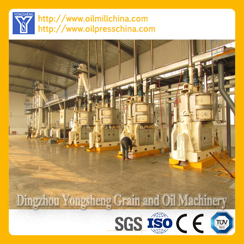 Cooking Oil Mill Plant