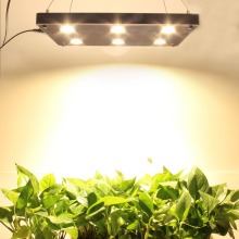 Dropship best selling professional wholesale led grow light with no fans