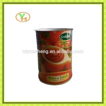 gino, tomato paste factory, gino tomato paste, tomatoes in holland