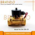 2W Brass Series Solenoid Valve 2W250-25