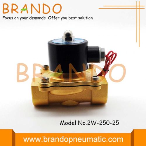 Elettrovalvola a solenoide serie 2W250-25