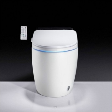 Wasserklosett Bodenmontierte intelligente Toilette