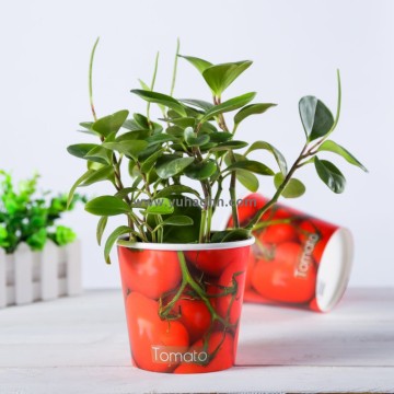 2017 Paper Pots Flower Planter with Custom Printing