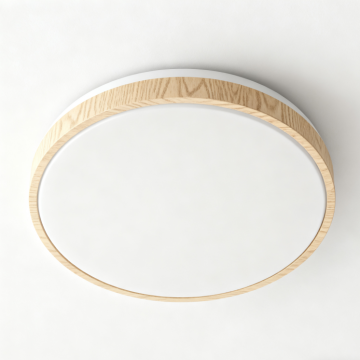 Modern LED Ceiling Light for Bathroom